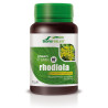 RHODIOLA 30 COMPRIMIDOS MGDOSE