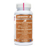 CURCUMA AB COMPLEX 10.000Mg. 60 CAPSULAS AIRBIOTIC