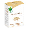 BOSWELLIASELECT 60 CAPSULAS 100% NATURAL