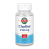 CHOLINE 100 COMPRIMIDOS KAL