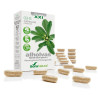 03-S ALHOLVAS FORMULA XXI 30 CAPSULAS SORIA NATURAL