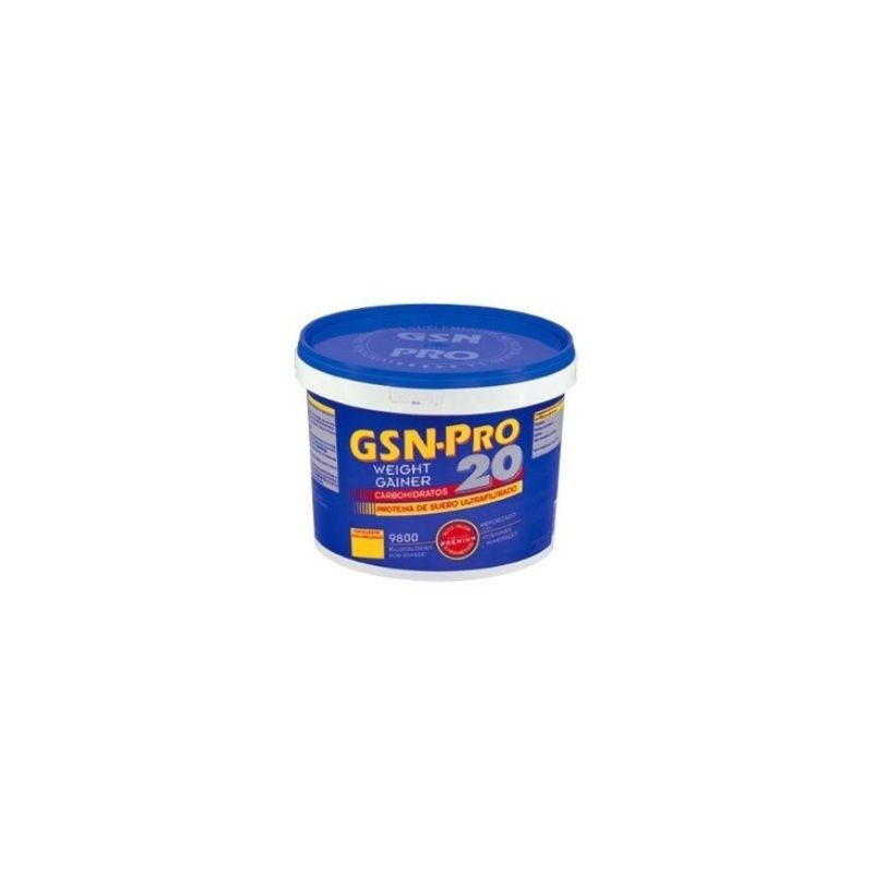 PRO MASTER 85 VAINILLA 1Kg. G.S.N.