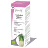 FOENICULUM VULGARE 100Ml. PHYSALIS