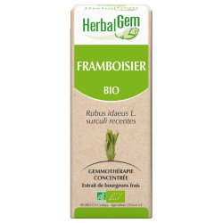 EXTRACTO DE FRAMBUESO BIO 50Ml. HERBAL GEM