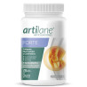 ARTILANE FORTE 220Gr. ARAMA NATURAL PRODUCTS