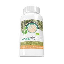 MORIN FORTE 120 CAPSULAS MARGAN BIOTECH