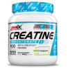 PERFORMANCE CREATINE CREAPURE 300Gr. AMIX