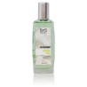 AMBIENTADOR PULVERIZADOR MANZANA ACIDA 100Ml. SYS