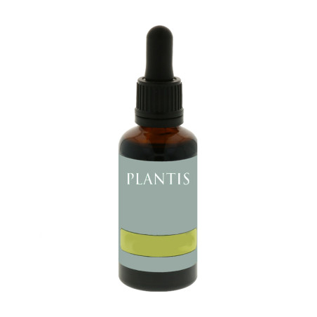 EXTRACTO DE ORTIGA VERDE 50Ml. PLANTIS