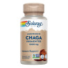 CHAGA FERMENTED 500 MG. - 60 VEGCAPS SOLARAY