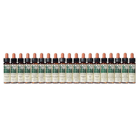 ELIXIR FLORAL 3 BEECH 10Ml. PLANTIS