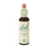 (13) GORSE 20Ml. BACH