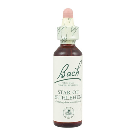 (29) STAR OF BETHLEHEM 20Ml. BACH