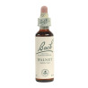 (33) WALNUT 20Ml. BACH