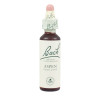 (02) ASPEN 20Ml. BACH