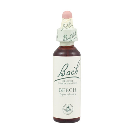 (03) BEECH 20Ml. BACH