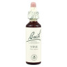 (32) VINE 20Ml. BACH