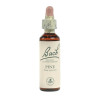 (24) PINE 20Ml. BACH