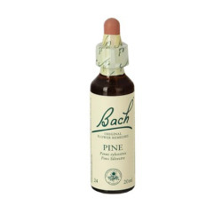 (24) PINE 20Ml. BACH