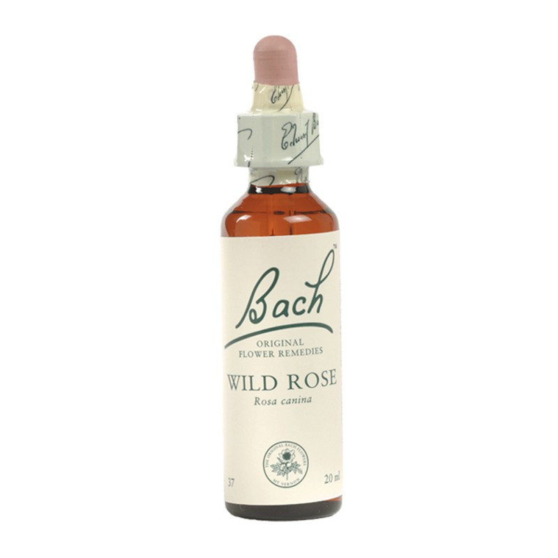 (37) WILD ROSE 20Ml. BACH