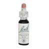 (07) CHESTNUD BUD 20Ml. BACH