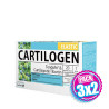 Pack 3x2 CARTILOGEN ELASTIC 20 AMPOLLAS DIETMED