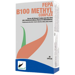 FEPA B100 METHYL COMPLEX 40 CÁPSULAS FEPADIET