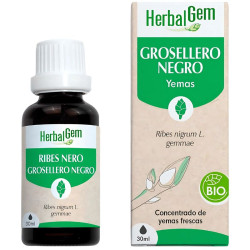 EXTRACTO GROSELLERO NEGRO BIO 30ML HERBAL GEM