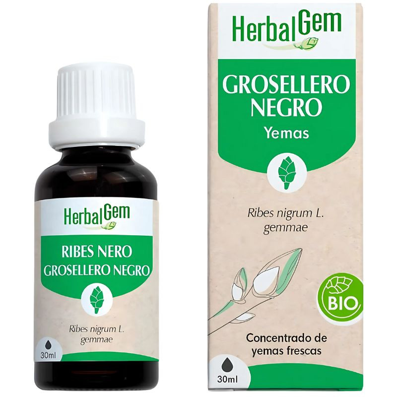 EXTRACTO GROSELLERO NEGRO BIO 30ML HERBAL GEM
