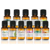 ACEITE ESENCIAL SERPOL 5Ml. TERPENIC LABS