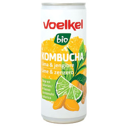 KOMBUCHA LIMA Y JENGIBRE BIO LATA 250 ML VOELKEL