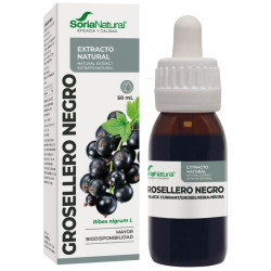 EXTRACTO DE GROSELLERO NEGRO 50ML SORIA NATURAL