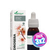 Pack 3x2 EXTRACTO DE DROSERA 50ML SORIA NATURAL