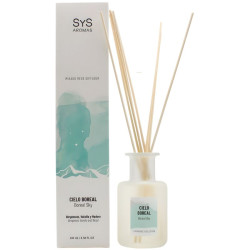 AMBIENTADOR MIKADO EXPERIENCE CIELO BOREAL 100ML SYS