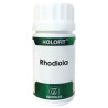 HOLOFIT RHODIOLA 50 CAPSULAS EQUISALUD