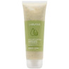 EXFOLIANTE CORPORAL DE AGUACATE Y JOJOBA 250ML LABNATUR
