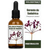 HOLOEXTRACT GERANIO DE SUDÁFRICA 50ML EQUISALUD