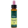 ELIXIR FLORAL 18 IMPATIENS 10Ml. PLANTIS