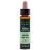 ELIXIR FLORAL 1 AGRIMONIA 10Ml. PLANTIS
