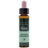ELIXIR FLORAL 2 ASPEN 10Ml. PLANTI