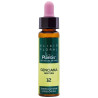 ELIXIR FLORAL 12 GENTIAN 10Ml. PLANTIS