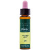 ELIXIR FLORAL 15 HOLLY 10Ml. PLANTIS