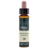 ELIXIR FLORAL 16 HONEYSUCKLE 10Ml. PLANTIS