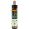 ELIXIR FLORAL 17 HORNBEAM 10Ml. PLANTIS