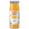 SHOT DE JENGIBRE DEMETER BIO 95ML VOELKEL