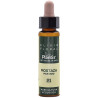 ELIXIR FLORAL 21 MUSTARD 10Ml. PLANTIS