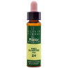 ELIXIR FLORAL 24 PINE 10Ml. PLANTIS