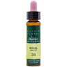 ELIXIR FLORAL 33 NOGAL 10Ml. PLANTIS