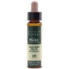 CASTAÑO ROJO-25 ELIXIR FLORAL ECO