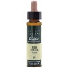 ELIXIR FLORAL 36 AVENA SIL 10Ml. PLANTIS